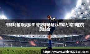 综合体育资讯搜索指南 快速定位目标内容