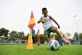 全国棒球职业联赛半决赛举行 天津惜败广东无缘决赛